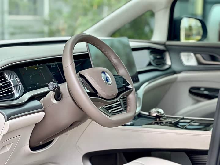 Фото 5 - Denza D9