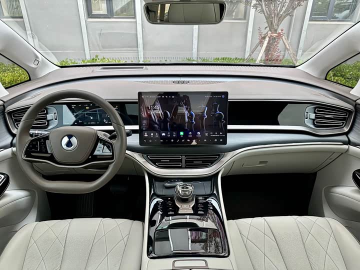 Фото 6 - Denza D9