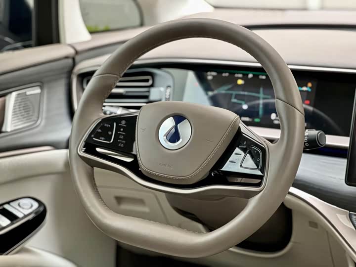 Фото 7 - Denza D9