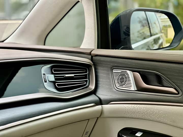 Фото 9 - Denza D9