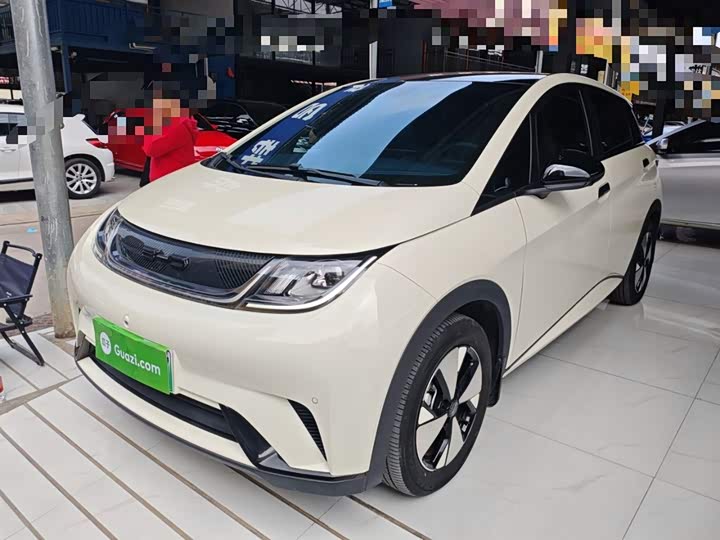 Фото 2 - BYD Dolphin