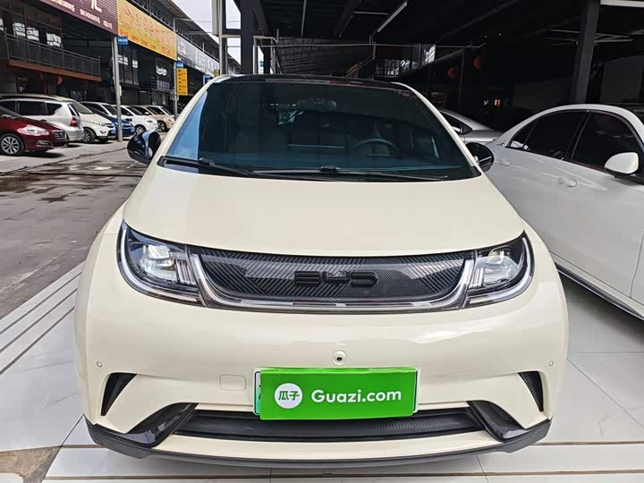 Фото 3 - BYD Dolphin