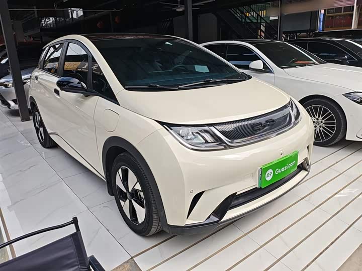 Фото 4 - BYD Dolphin