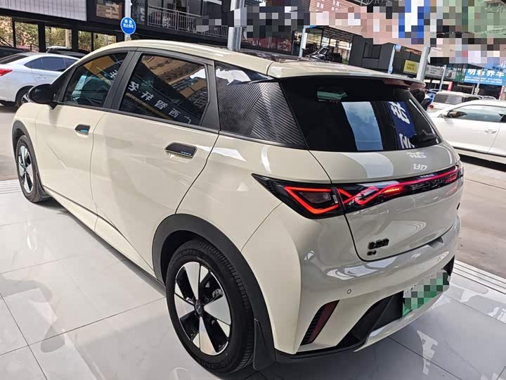 Фото 5 - BYD Dolphin