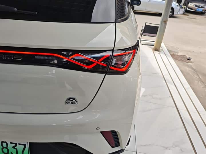 Фото 8 - BYD Dolphin