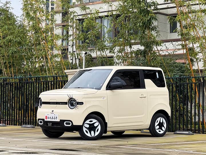 Фото 1 - Geely Galaxy Panda Mini