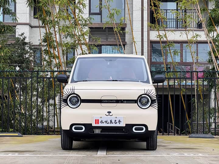 Фото 2 - Geely Galaxy Panda Mini