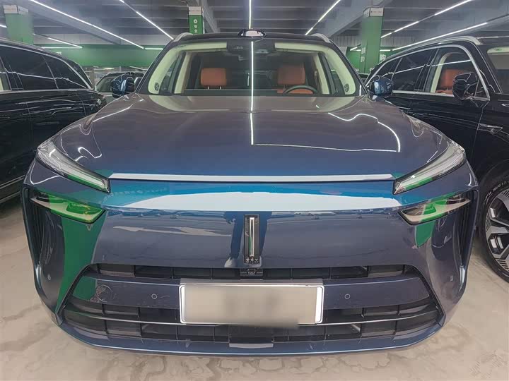 Фото 3 - Wey Lanshan