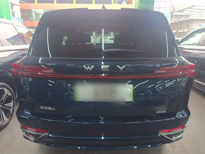 Фото 6 - Wey Lanshan