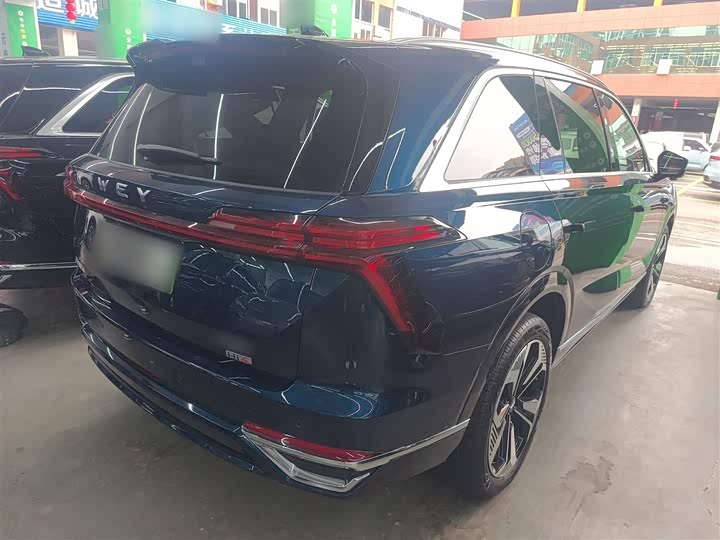 Фото 7 - Wey Lanshan