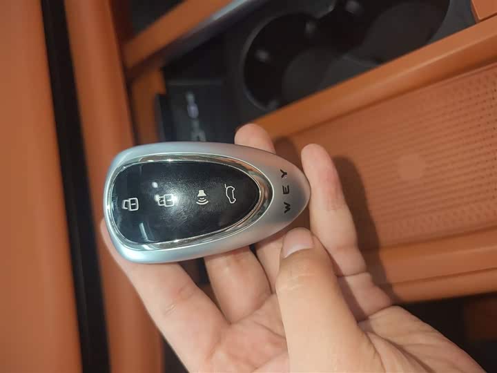 Фото 9 - Wey Lanshan