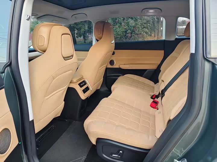 Фото 4 - Exeed Sterra ET