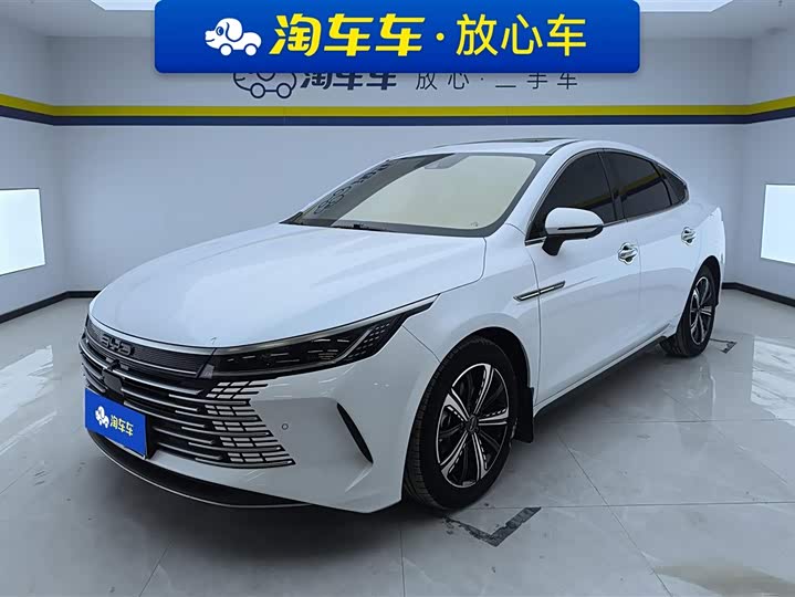 Фото 1 - BYD Destroyer 05