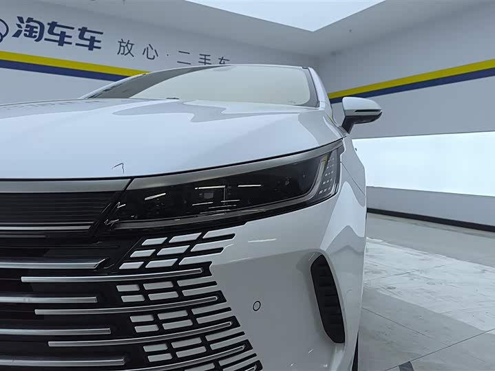 Фото 5 - BYD Destroyer 05