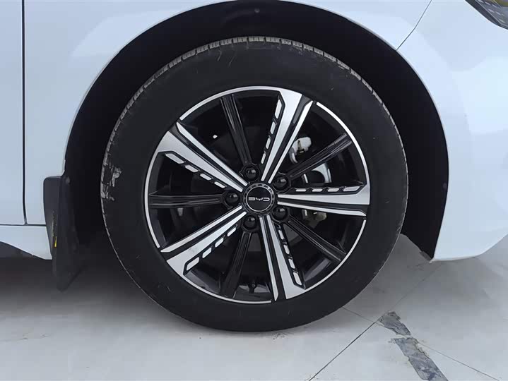 Фото 6 - BYD Destroyer 05