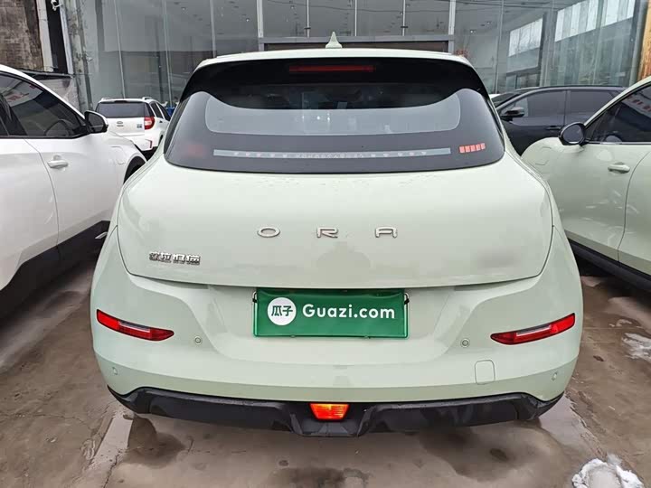 Фото 6 - Ora Good Cat (03)