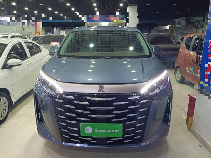 Фото 3 - BYD Xia