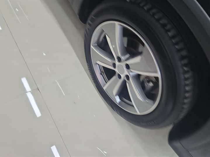 Фото 6 - Geely Okavango L