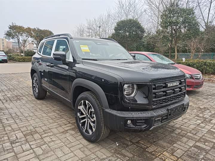 Фото 4 - Haval Dargo