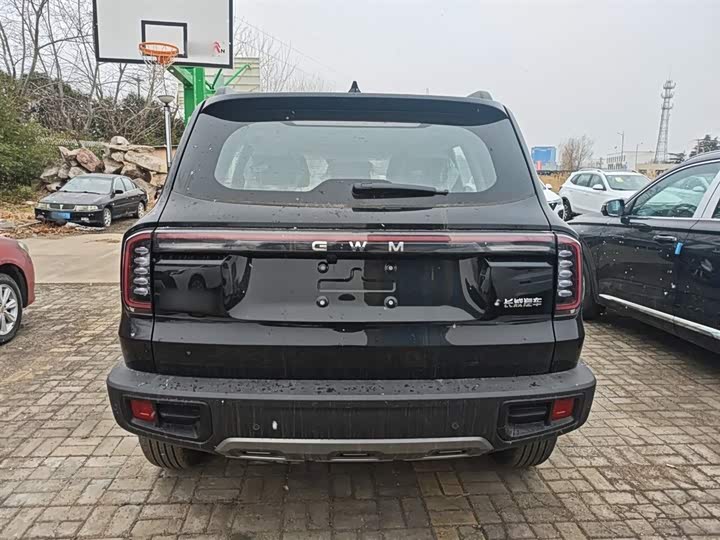 Фото 6 - Haval Dargo