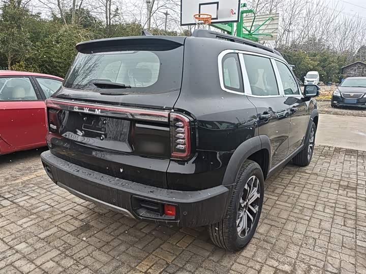 Фото 7 - Haval Dargo