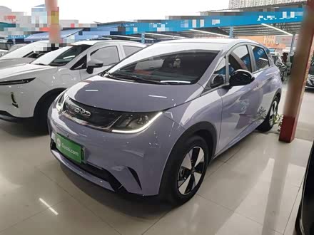 Фото 1 - BYD Dolphin