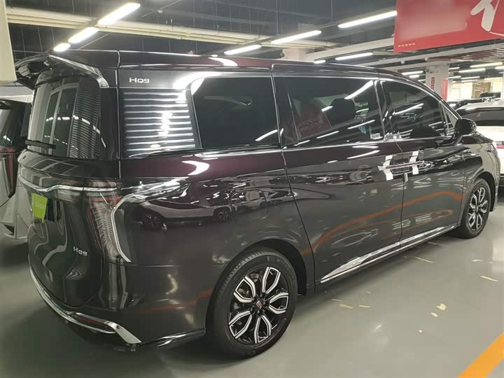 Фото 7 - Hongqi HQ9