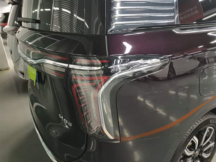 Фото 8 - Hongqi HQ9