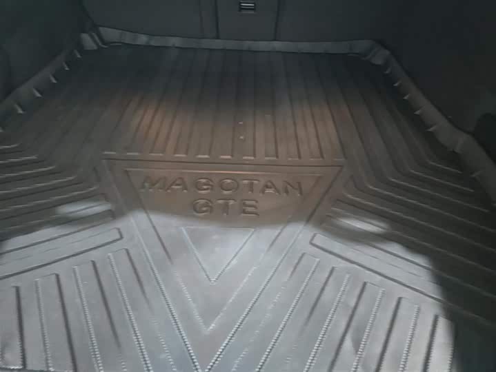 Фото 4 - Volkswagen Magotan GTE Hybrid