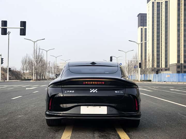 Фото 5 - IM motors L6