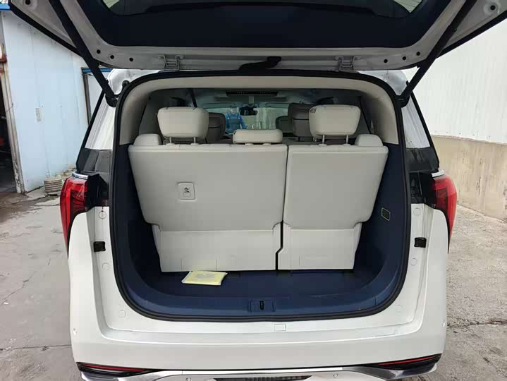 Фото 8 - Buick GL8 Century