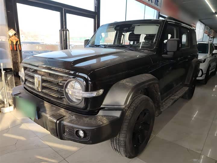 Фото 2 - Tank 300