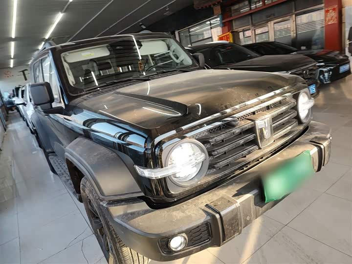 Фото 4 - Tank 300