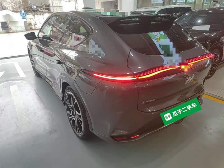 Фото 5 - IM motors LS7