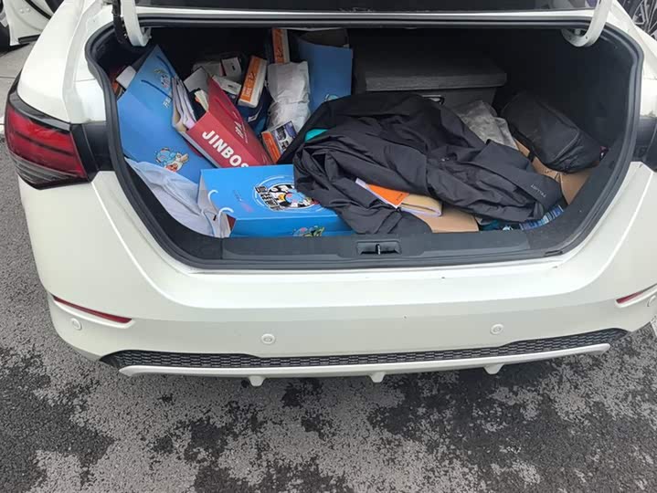 Фото 4 - Nissan Sylphy