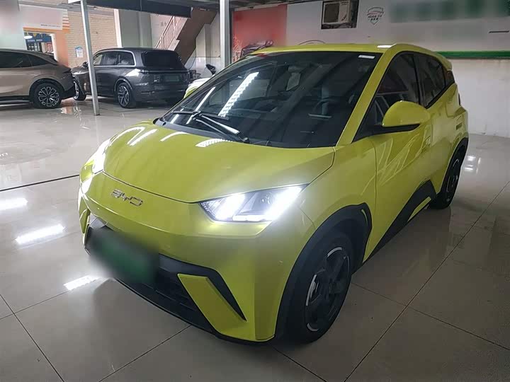 Фото 2 - BYD Seagull