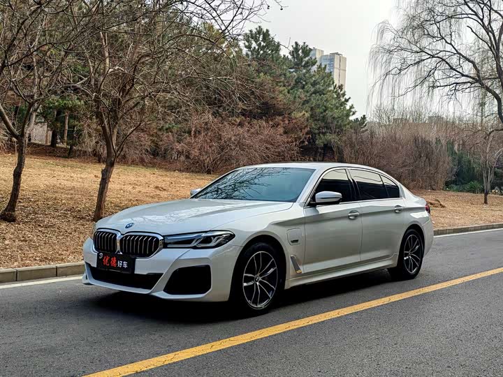 Фото 1 - BMW 5 Series Hybrid