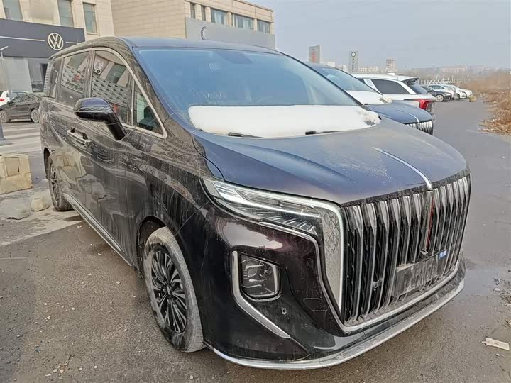 Фото 4 - Hongqi HQ9 Hybrid