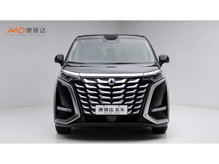 Фото 2 - Denza D9