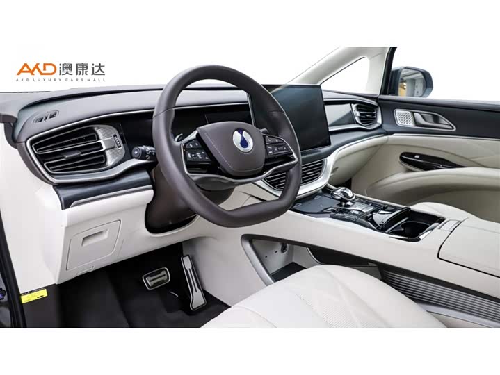 Фото 6 - Denza D9