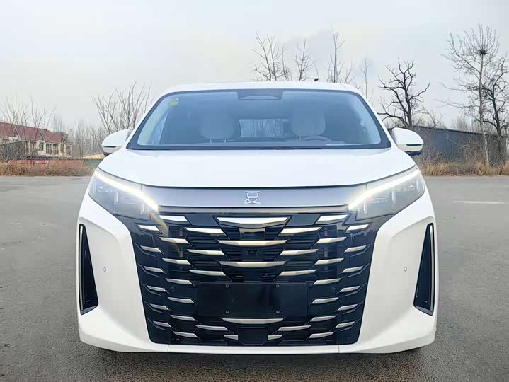 Фото 3 - BYD Xia