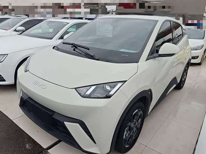 Фото 2 - BYD Seagull