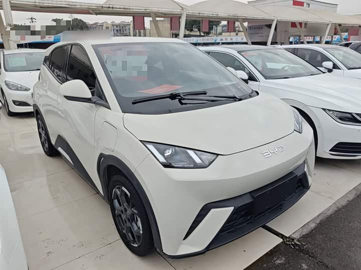 Фото 4 - BYD Seagull