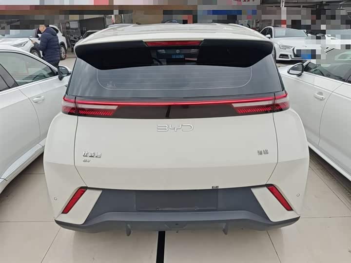 Фото 6 - BYD Seagull