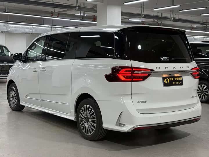 Фото 4 - Maxus G10