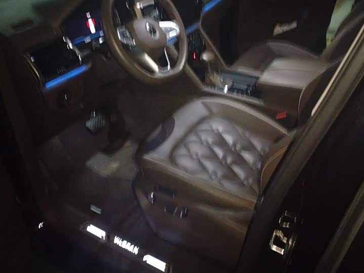 Фото 9 - Volkswagen Viloran