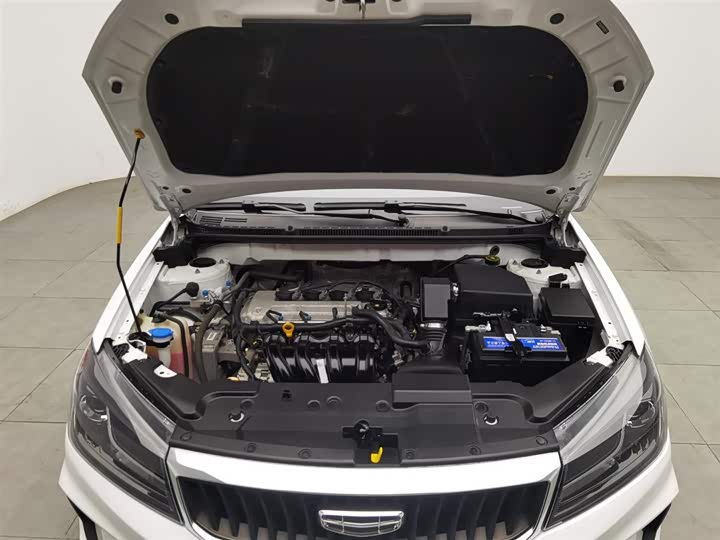 Фото 6 - Geely Emgrand