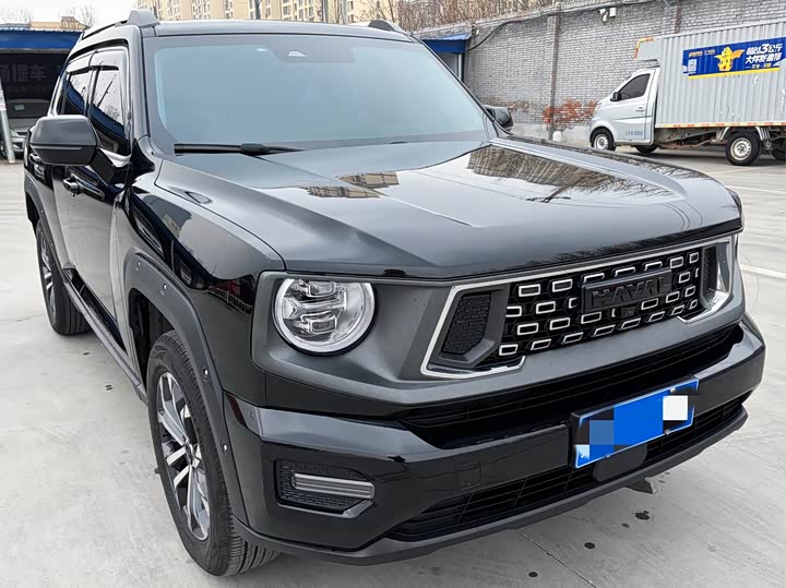 Фото 1 - Haval H-Dog