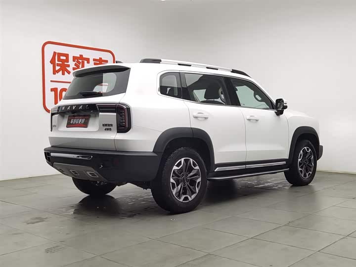 Фото 2 - Haval Dargo