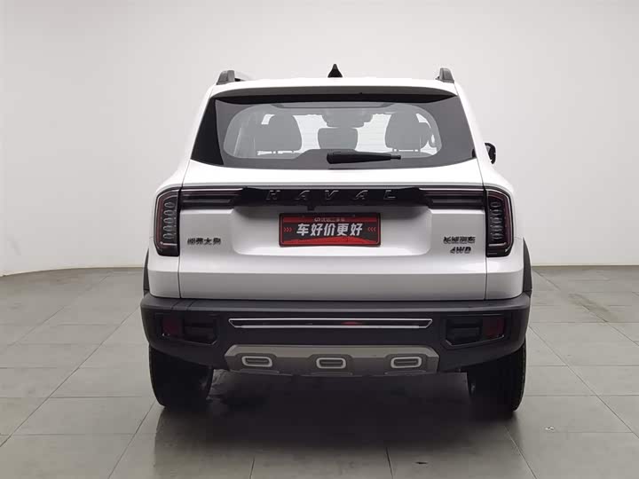 Фото 4 - Haval Dargo